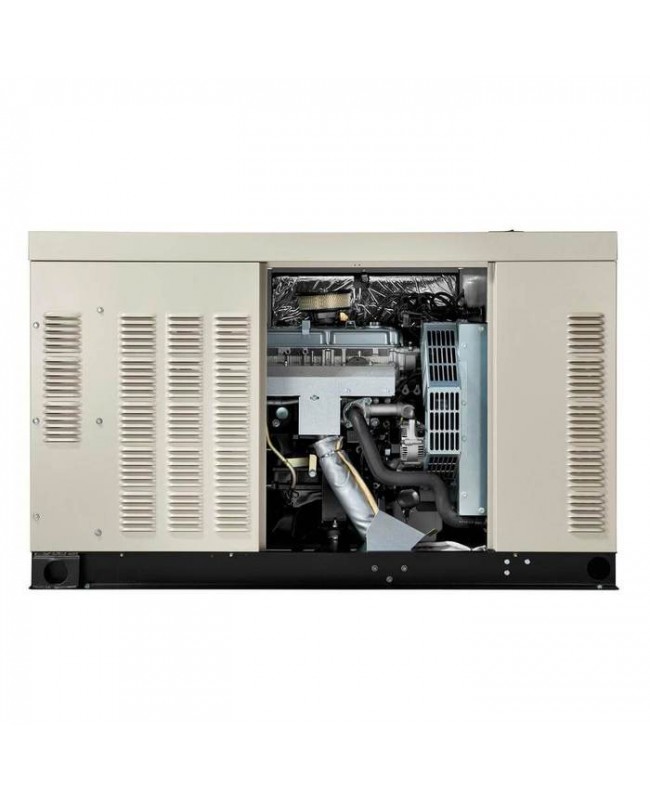 Generac RG04524ANAX 45000-Watt Aluminum Natural Gas/LP Standby Generator